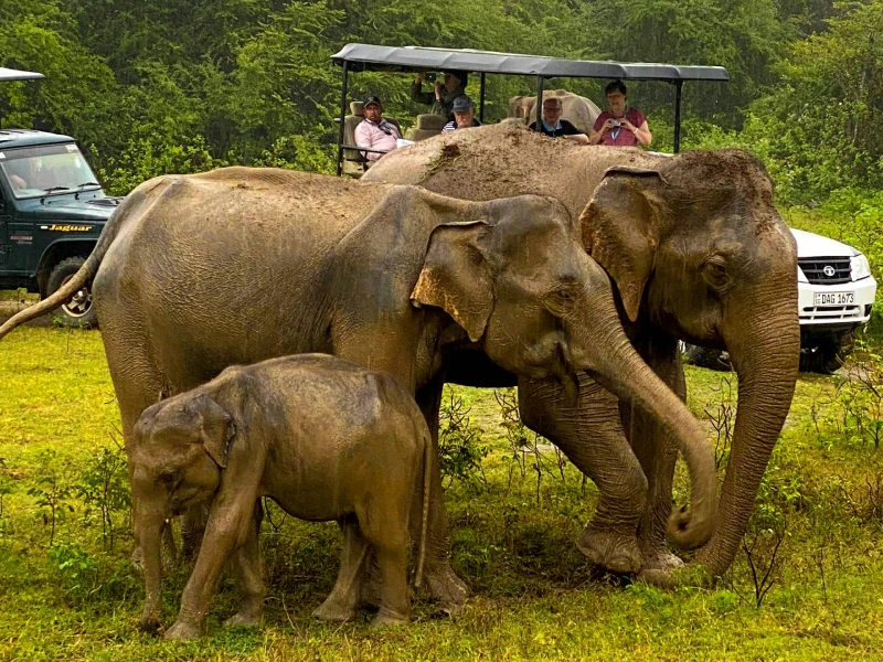 sachindra chalaka ERIYlk3Hppo unsplash