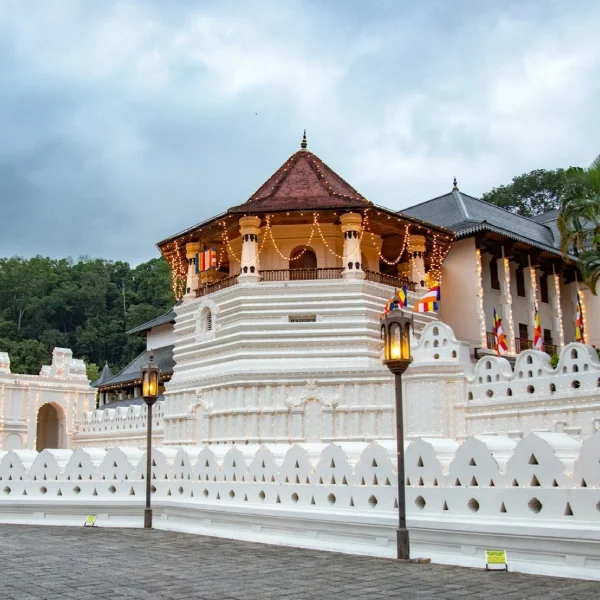 chathura-anuradha-subasinghe-40uQmE9Zq8g-unsplash